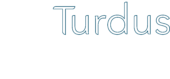 Logo Turdus Travel